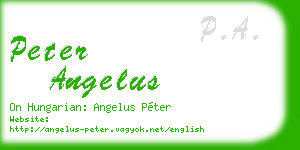peter angelus business card